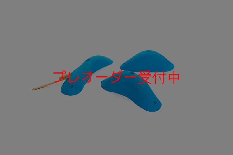 画像7: CT 2018 XL 4/プレオーダー (7)
