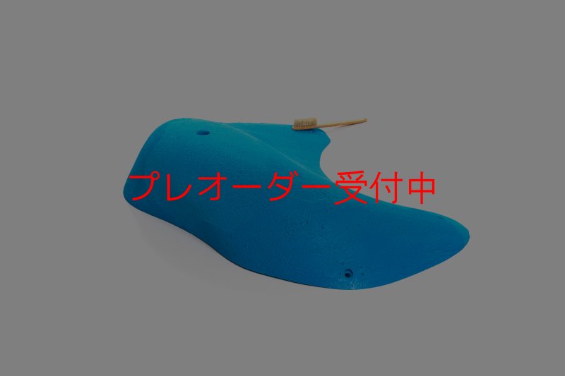 画像3: CT 2018 MEG 4/プレオーダー (3)
