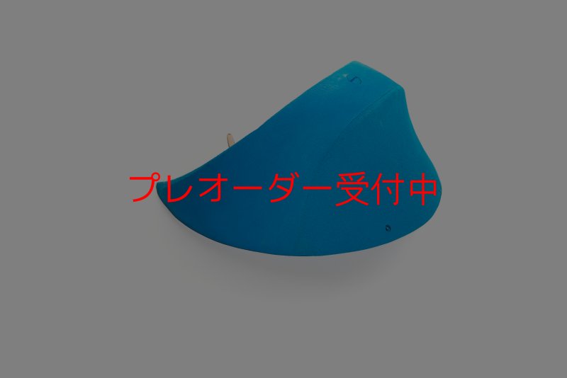 画像4: CT 2018 MEG 10/プレオーダー (4)