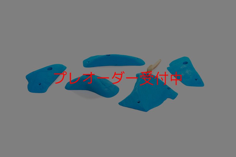 画像5: CT 2018 L 4/プレオーダー (5)