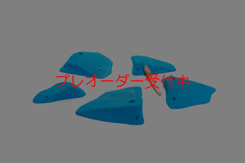 画像7: CT 2018 L 3/プレオーダー (7)