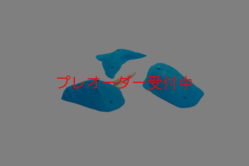 画像4: CT 2018 L 2/プレオーダー (4)