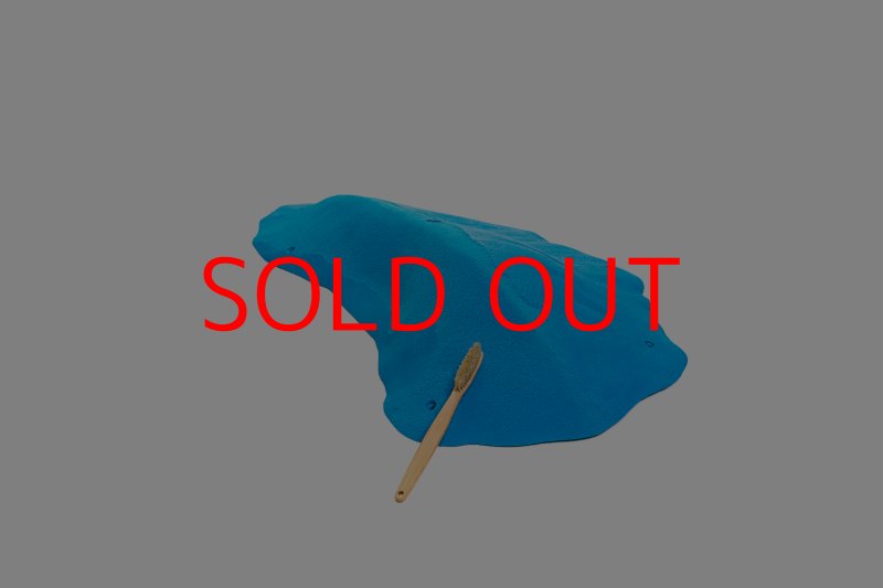 画像1: CT 2018 MEG 7 (1)