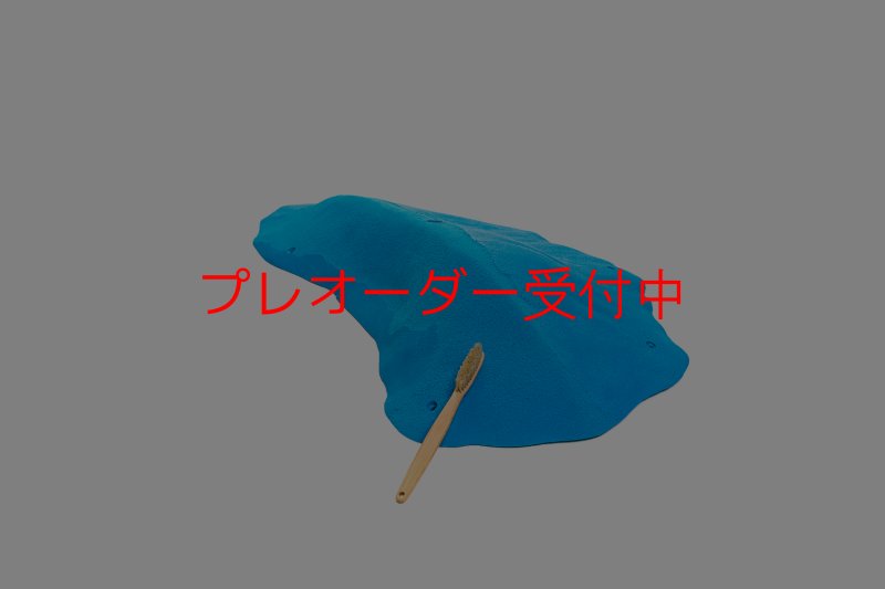 画像1: CT 2018 MEG 7/プレオーダー (1)