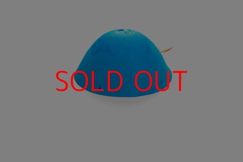 画像4: CT 2018 MEG 2 (4)