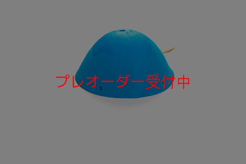 画像4: CT 2018 MEG 2/プレオーダー (4)