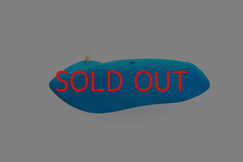 画像2: CT 2018 MEG 4 (2)