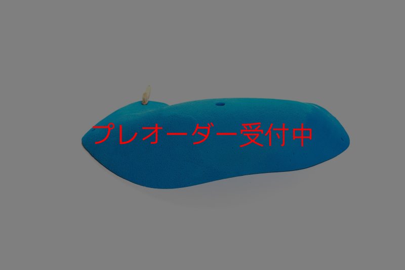 画像2: CT 2018 MEG 4/プレオーダー (2)