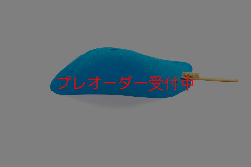 画像5: CT 2018 XXL 1/プレオーダー (5)