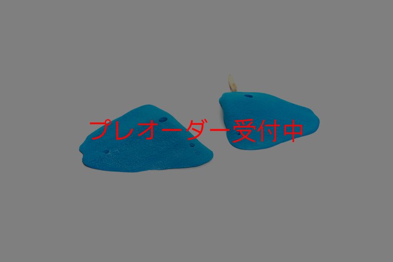 画像4: CT 2018 XL 5/プレオーダー (4)