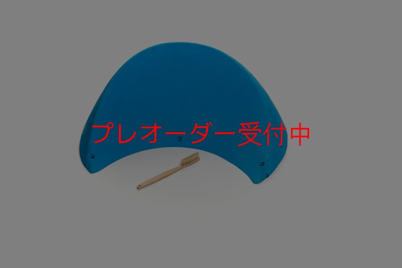 画像2: CT 2018 MEG 10/プレオーダー (2)