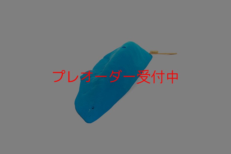 画像4: CT 2018 MEG 8/プレオーダー (4)