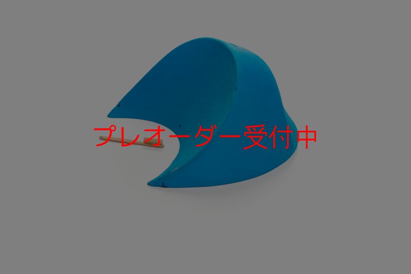 画像3: CT 2018 MEG 10/プレオーダー (3)