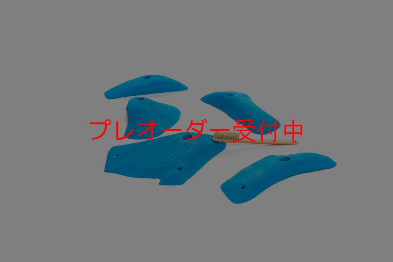 画像6: CT 2018 L 4/プレオーダー (6)