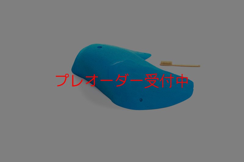 画像7: CT 2018 MEG 3/プレオーダー (7)