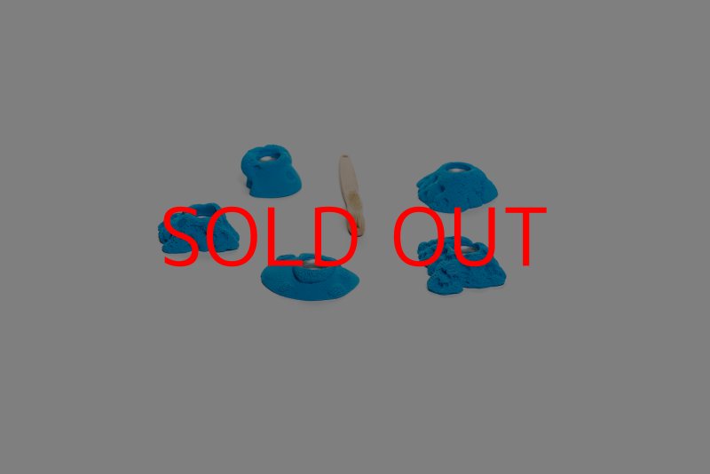 画像5: CT Kaly flower XS3 (5)