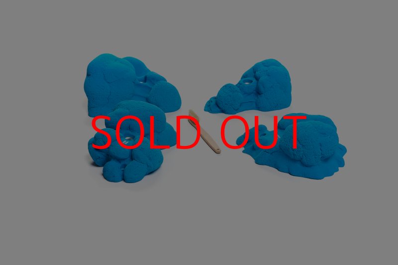 画像2: CT Kaly flower XL1 (2)