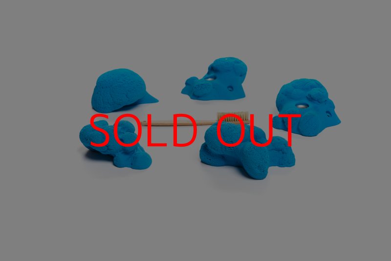 画像4: CT Kaly flower L1 (4)