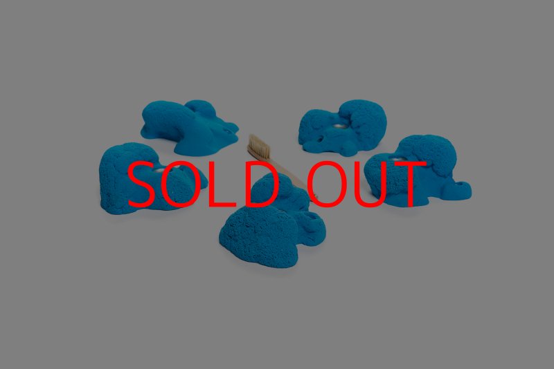 画像2: CT Kaly flower M1 (2)