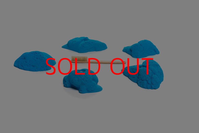 画像7: CT Kaly flower M3 (7)