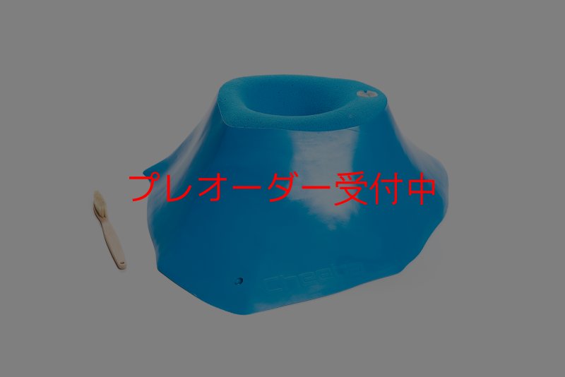 画像1: CT Craters  Fuji/プレオーダー (1)