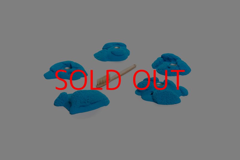 画像6: CT Kaly flower M2 (6)