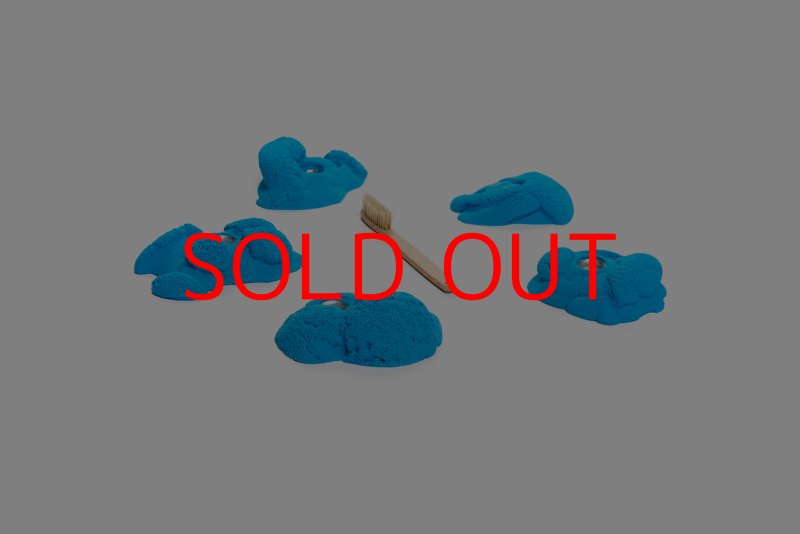 画像2: CT Kaly flower M2 (2)