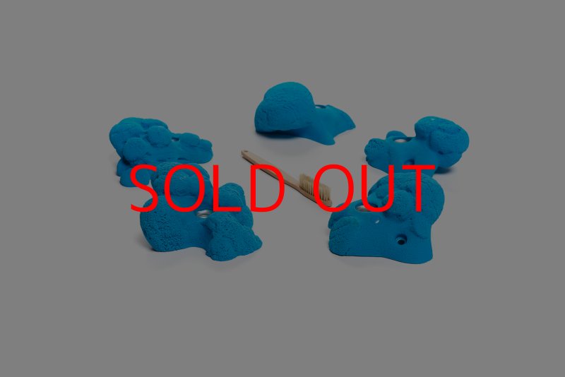 画像5: CT Kaly flower L1 (5)