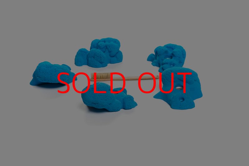 画像7: CT Kaly flower L1 (7)