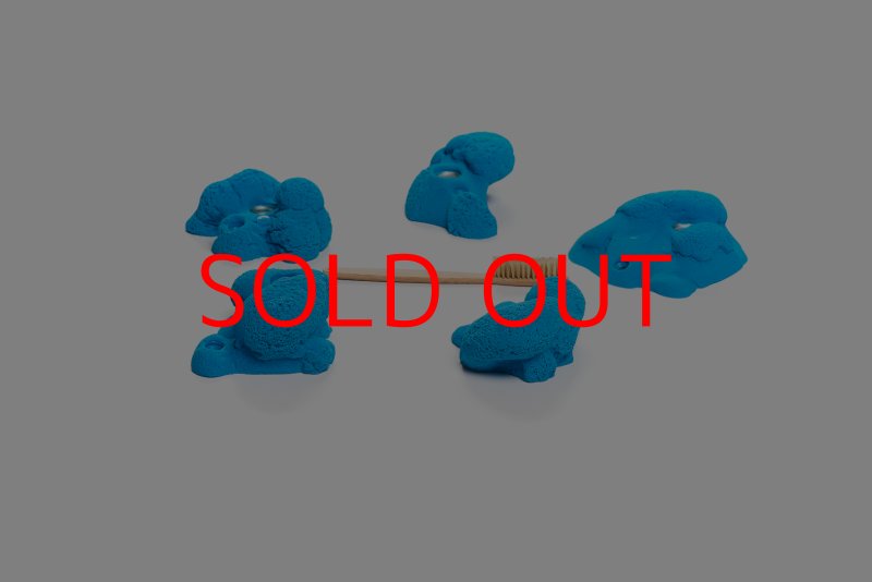 画像4: CT Kaly flower M1 (4)