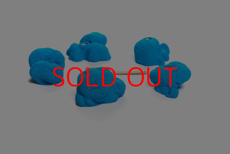 画像7: CT Kaly flower L2 (7)