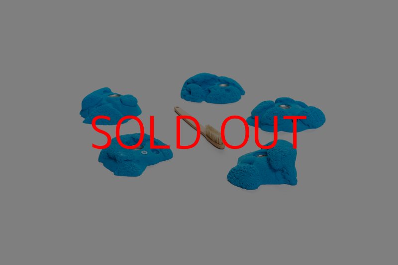 画像5: CT Kaly flower M2 (5)