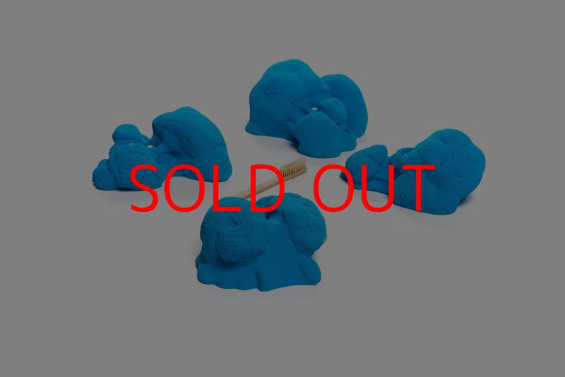 画像3: CT Kaly flower XL1 (3)