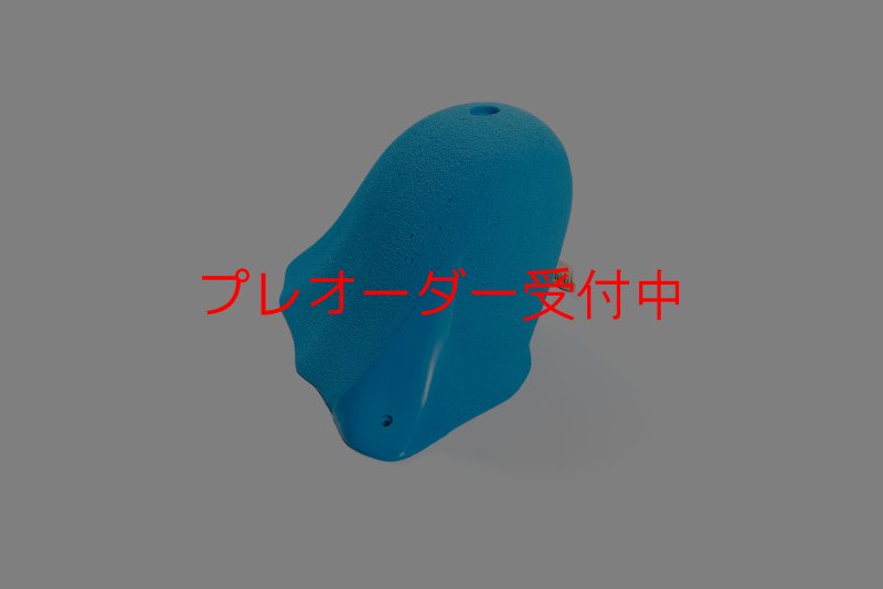 画像3: CT Craters  Fangio/プレオーダー (3)