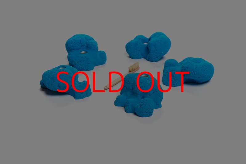 画像3: CT Kaly flower L2 (3)