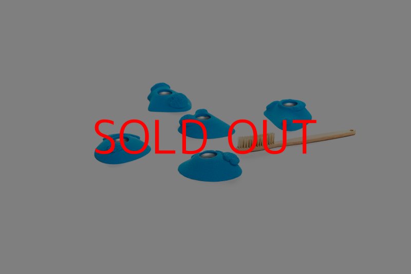 画像6: CT Kaly flower XS2 (6)