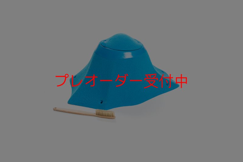 画像1: CT Craters  Truc/プレオーダー (1)