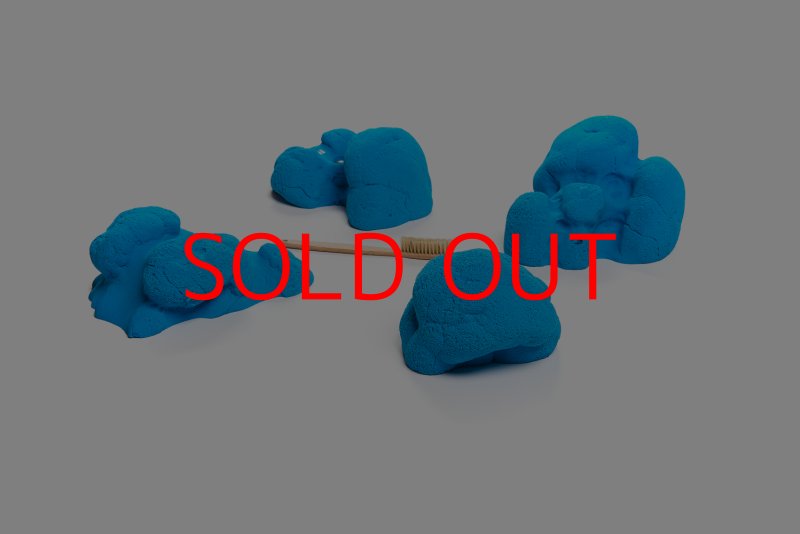 画像4: CT Kaly flower XL1 (4)