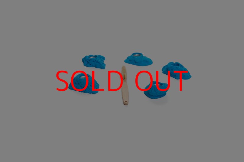 画像2: CT Kaly flower XS3 (2)