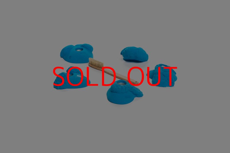 画像2: CT Kaly flower S1 (2)