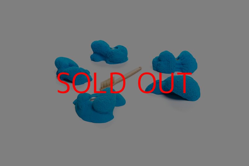 画像6: CT Kaly flower M1 (6)