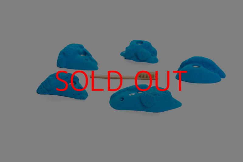 画像4: CT Kaly flower M3 (4)