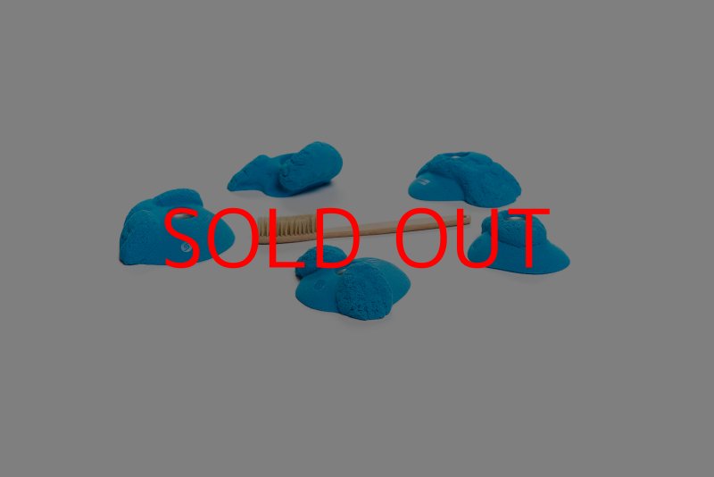 画像7: CT Kaly flower S1 (7)