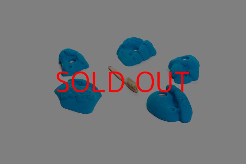 画像5: CT Kaly flower M3 (5)