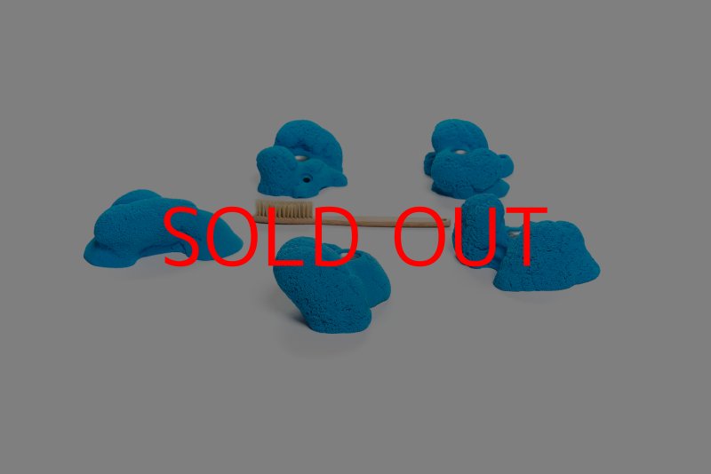 画像7: CT Kaly flower M1 (7)