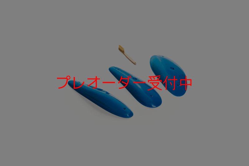 画像3: CT Shape Rider Sunside16 XXL/プレオーダー (3)