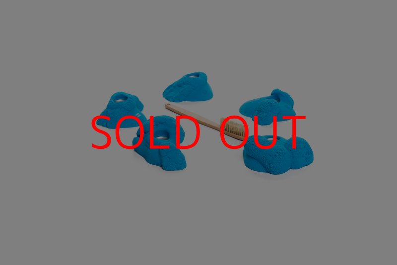 画像5: CT Kaly flower S1 (5)