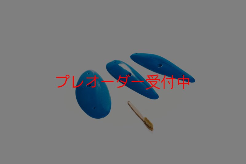 画像6: CT Shape Rider Sunside16 XXL/プレオーダー (6)