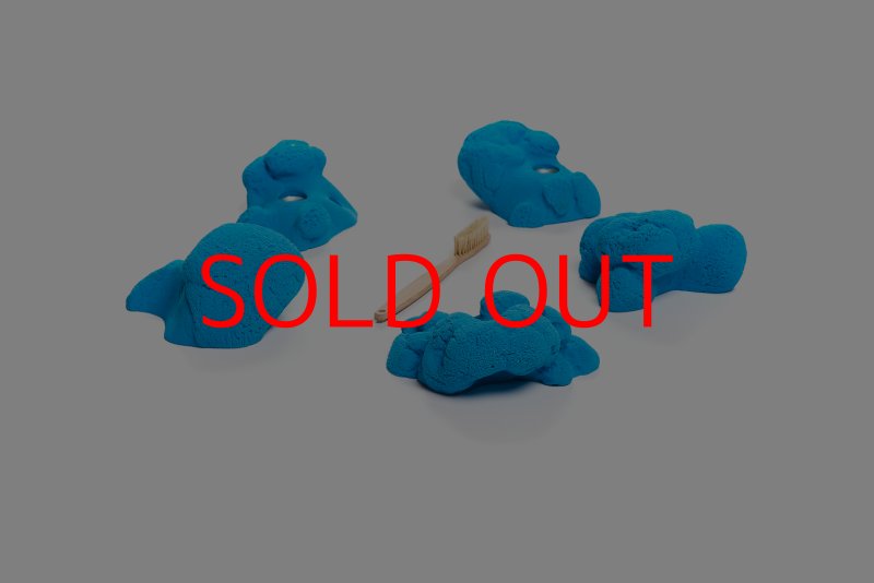 画像3: CT Kaly flower L1 (3)