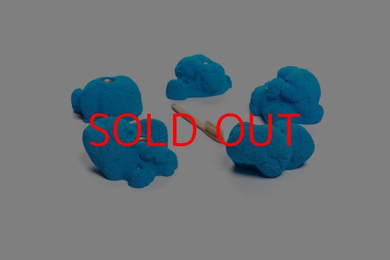 画像5: CT Kaly flower L2 (5)